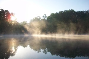 Bowfin Country Field Report HV 2015 (2)