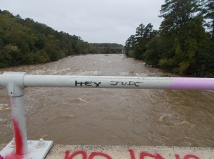 Haw River Flood Stage Bynum (5)